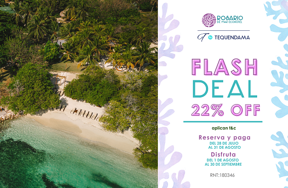 Promocion FLASH DEAL 22% OFF descuento