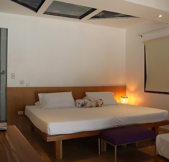 Habitación estándar plus