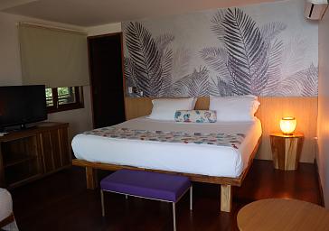 Habitación estándar plus