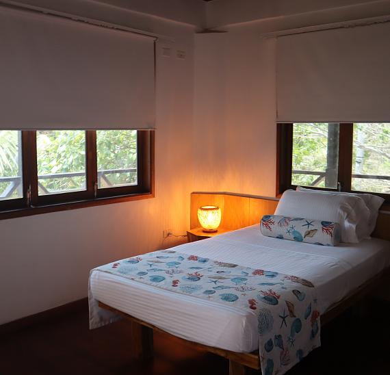 Habitación estándar plus