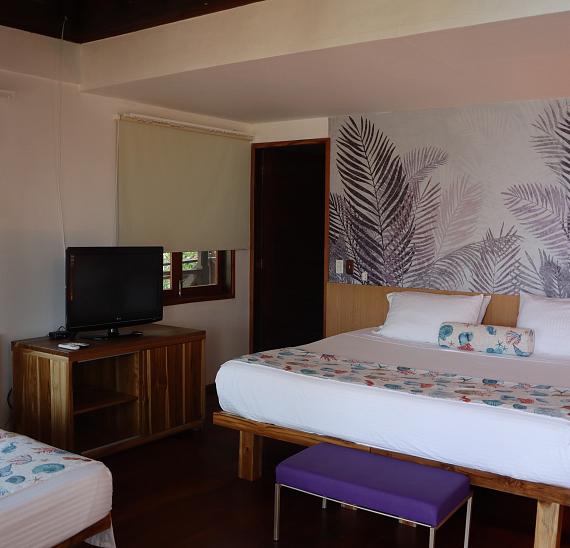 Habitación estándar plus